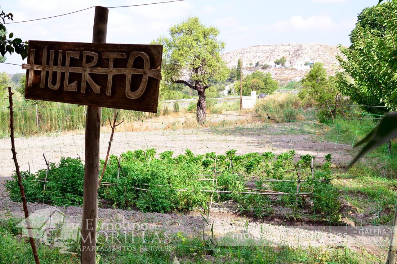 El Molino De Morillas Appartamento